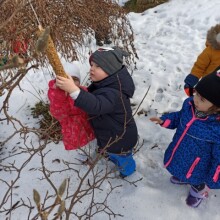 IMG_20210224_094105