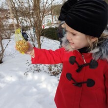 IMG_20210224_094347