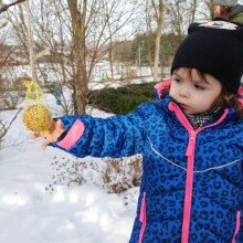 IMG_20210224_094355