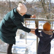 IMG_9132