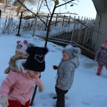 IMG_9336