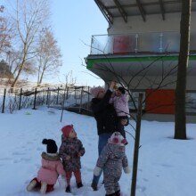 IMG_9350