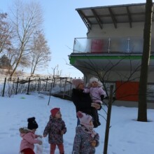 IMG_9352
