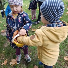 IMG_20220927_091921