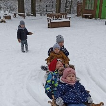 IMG_20221121_094401