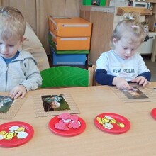 IMG_20230119_093737