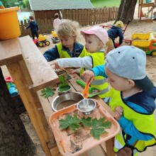 IMG_20230703_093834