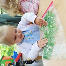 IMG_20240606_095255