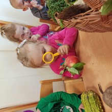 IMG_20241001_081233