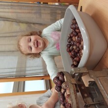 IMG_20241016_094638